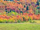 USA-Utah-Logan Pass Colorful autumn in Provo Pass Art Print